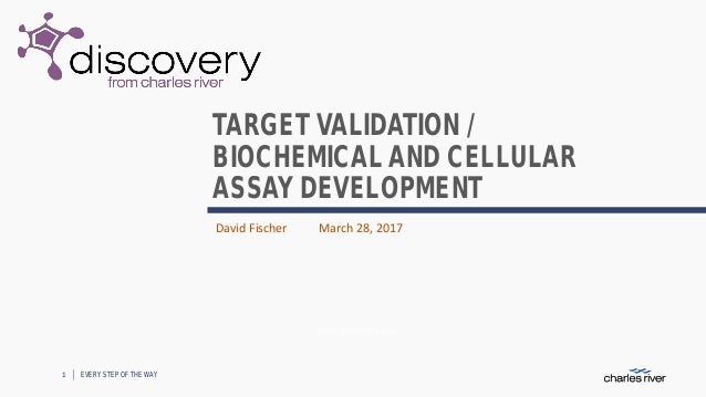 Target Validation Biochemical And Cellular Assay Development
