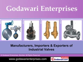 Manufacturers, Importers & Exporters of Industrial Valves 