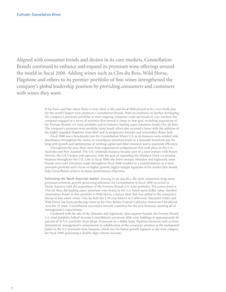 constellation annual reports 2008