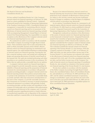 constellation annual reports 2008