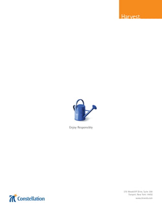 constellation annual reports 2008