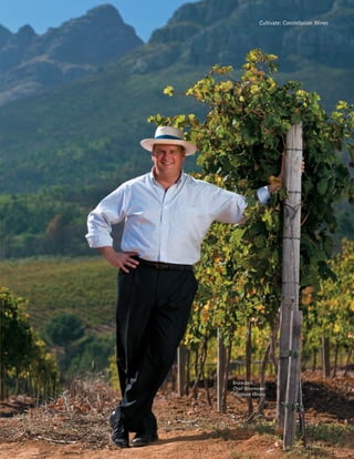 constellation annual reports 2008