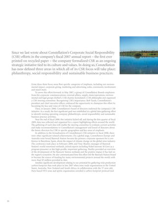 constellation annual reports 2008