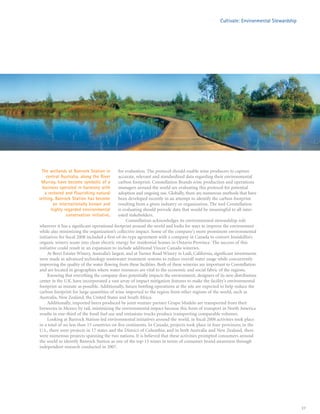 constellation annual reports 2008