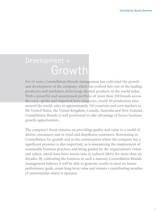 constellation annual reports 2008