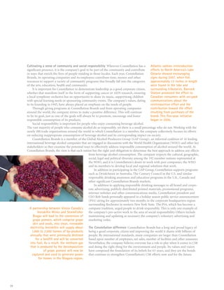 constellation annual reports 2008