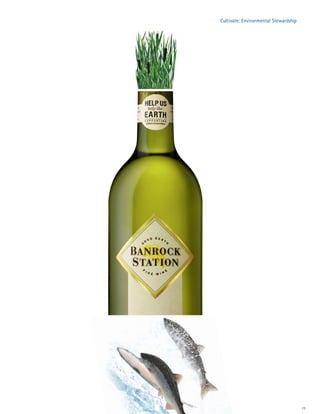 constellation annual reports 2008