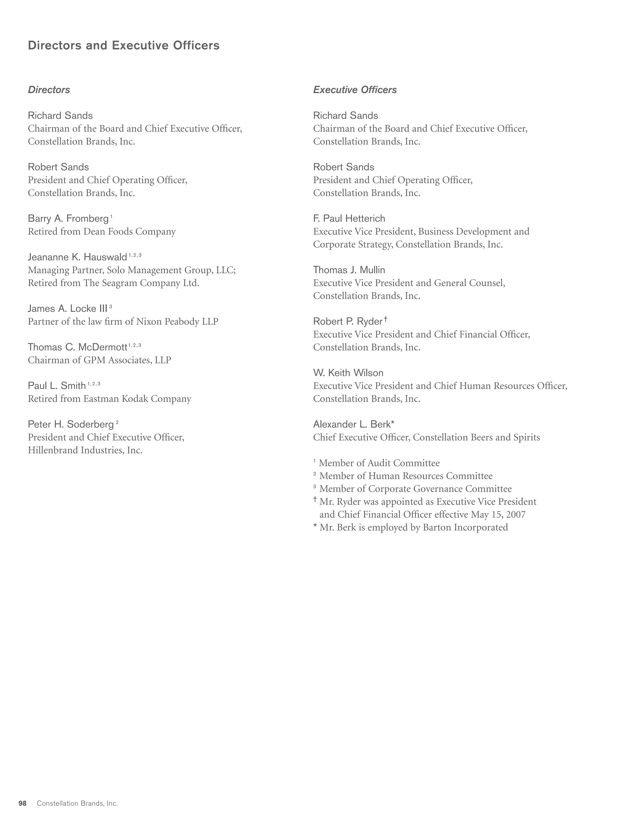 constellation annual reports 2007