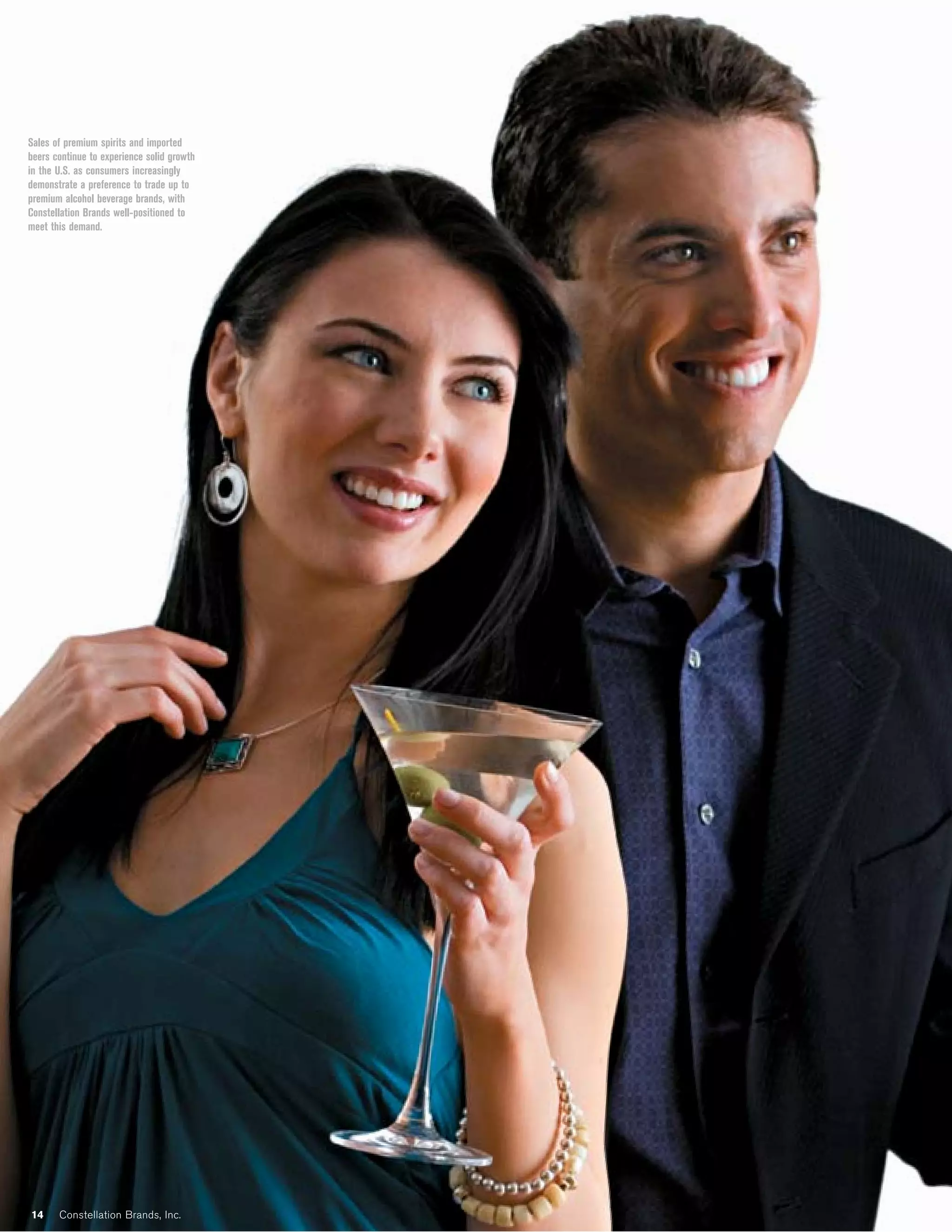 constellation annual reports 2007