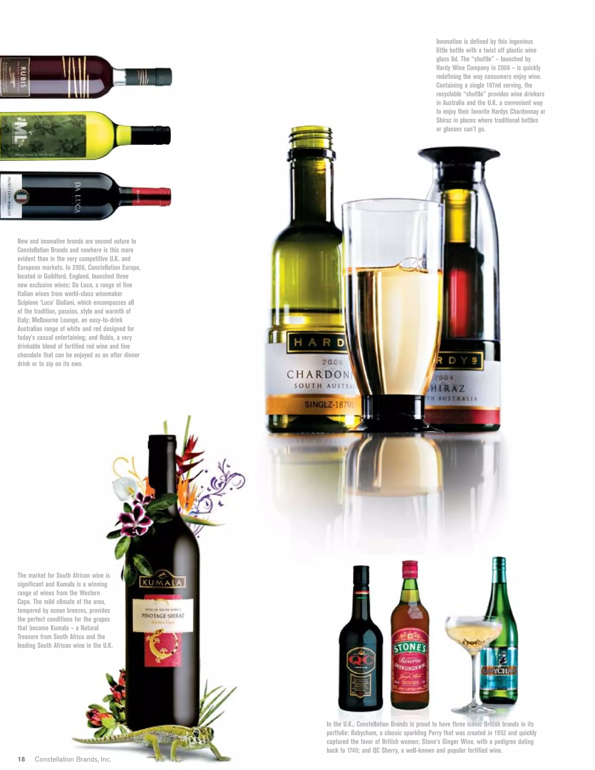 constellation annual reports 2007