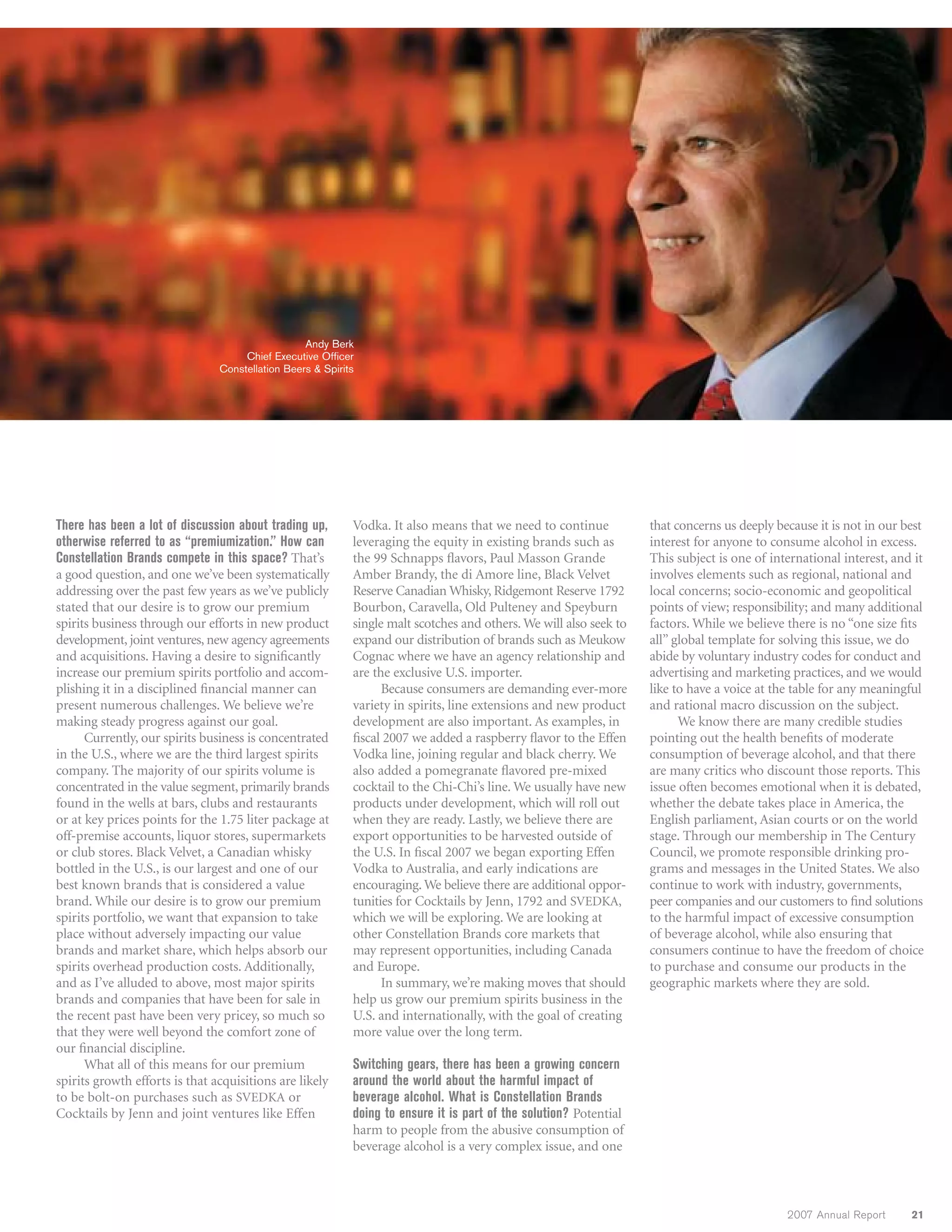 constellation annual reports 2007