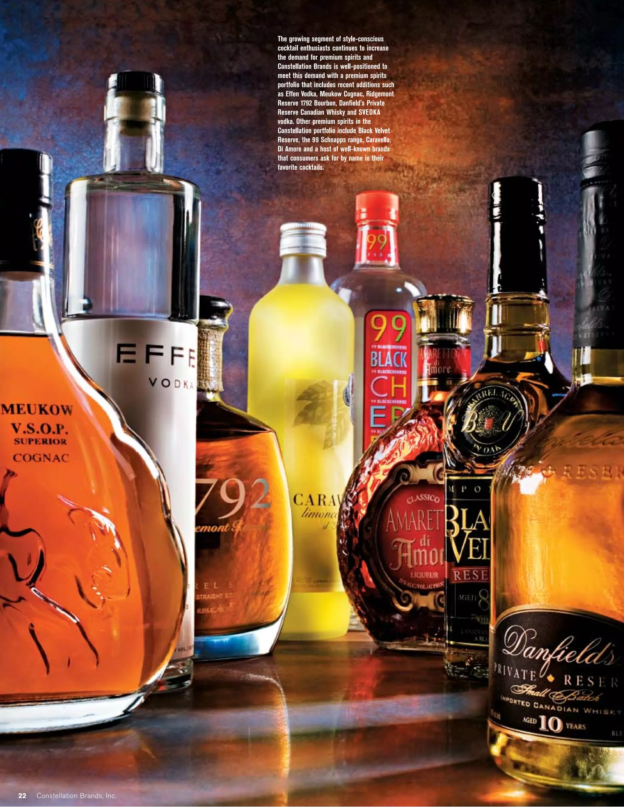 constellation annual reports 2007