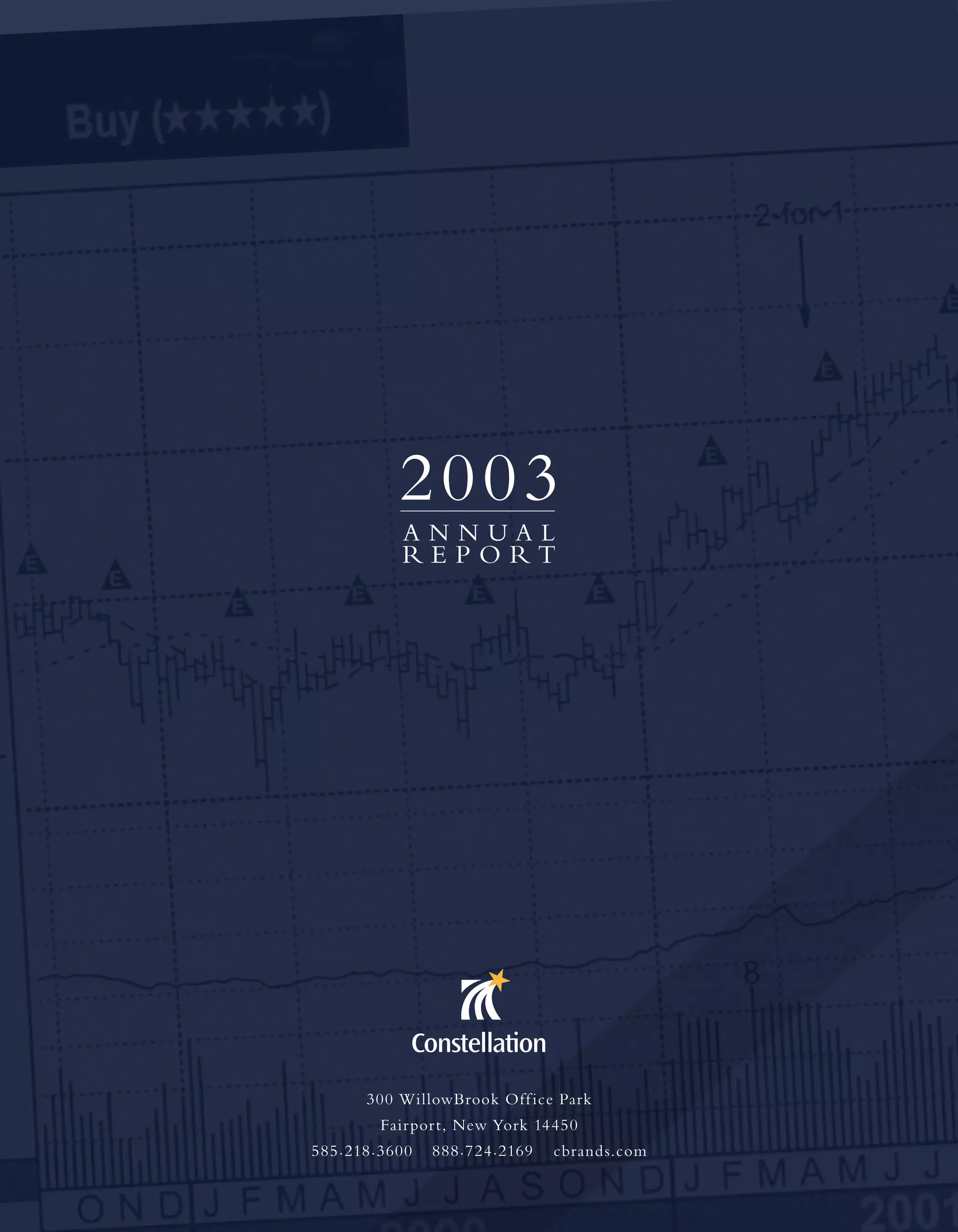 constellation annual reports 2003
