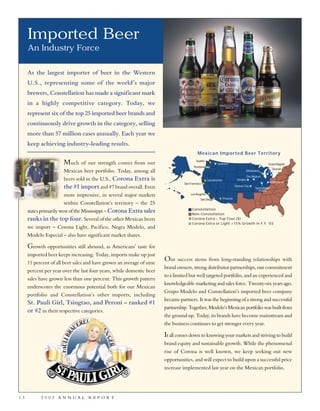 constellation annual reports 2003