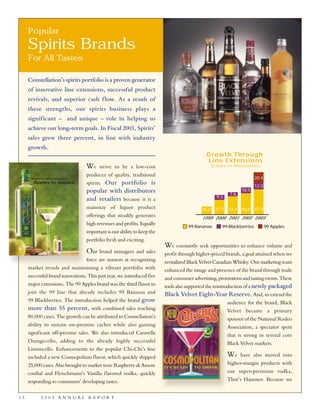 constellation annual reports 2003