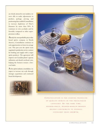 constellation annual reports 2003