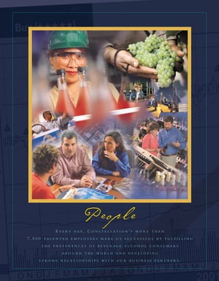 constellation annual reports 2003