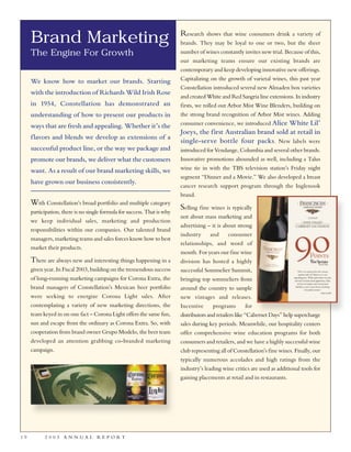 constellation annual reports 2003