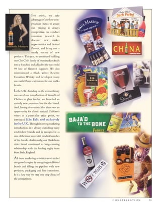 constellation annual reports 2003