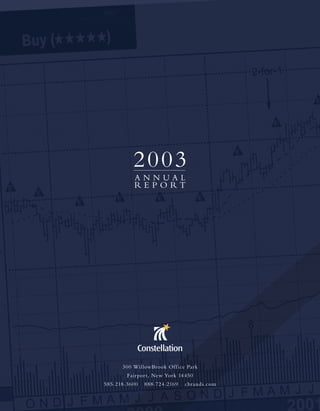constellation annual reports 2003