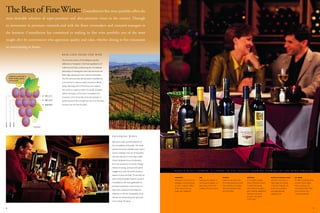 constellation annual reports 2001