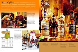 constellation annual reports 2001