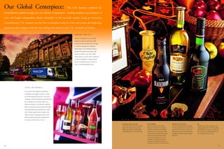 constellation annual reports 2001