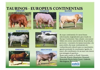  	
  	
  	
  	
  	
  	
  	
  	
  	
  	
  LIMOUSIN	
                      CHAROLÊS	
  	
  	
  	
  	
  	
  	
  	
  	
  	
  	
  	
  	
  	
  	
  	
  	
  	
  	
  	
  	
  	
  	
  	
  	
  	
  	
  	
  	
  	
  	
  	
  	
  	
  	
  	
  	
  	
  BLONDE	
  




                                                       Matrix	
                                         Jolympe	
  
	
  	
  	
  	
  	
  	
  	
  	
  	
  	
  	
  MARCHIGIANA	
                          PIEMONTÊS	
  




                                       Viking	
  	
                 Libro	
  	
  
                SIMENTAL	
  




                                          Mallo	
                                                                             Isopor	
  	
  
 