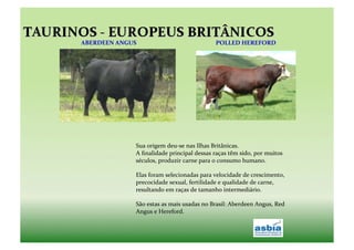 ABERDEEN	
  ANGUS	
                                              POLLED	
  HEREFORD	
  




                    Sua	
  origem	
  deu-­‐se	
  nas	
  Ilhas	
  Britânicas.	
  
                    A	
  ﬁnalidade	
  principal	
  dessas	
  raças	
  têm	
  sido,	
  por	
  muitos	
  
                    séculos,	
  produzir	
  carne	
  para	
  o	
  consumo	
  humano.	
  

                    Elas	
  foram	
  selecionadas	
  para	
  velocidade	
  de	
  crescimento,	
  
                    precocidade	
  sexual,	
  fertilidade	
  e	
  qualidade	
  de	
  carne,	
  
                    resultando	
  em	
  raças	
  de	
  tamanho	
  intermediário.	
  

                    São	
  estas	
  as	
  mais	
  usadas	
  no	
  Brasil:	
  Aberdeen	
  Angus,	
  Red	
  
                    Angus	
  e	
  Hereford.	
  
 