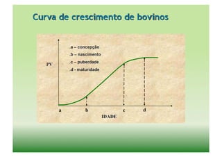Curva de crescimento de bovinos
 