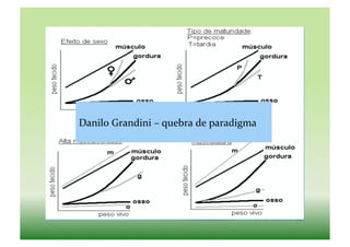 Danilo	
  Grandini	
  –	
  quebra	
  de	
  paradigma	
  
 