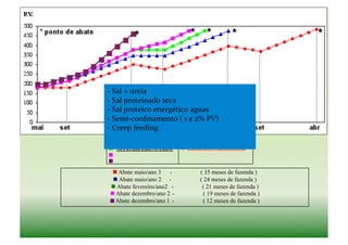 -­‐ Sal	
  +	
  ureia	
  
   	
  
-­‐ Sal	
  proteinado	
  seca	
  
   	
  
-­‐ Sal	
  proteico	
  energético	
  aguas	
  
   	
  
-­‐ Semi-­‐conﬁnamento	
  (	
  1	
  a	
  2%	
  PV)	
  
   	
  
-­‐ Creep	
  feeding	
  
   	
  

 SUPL. DIFERENCIADA                SUPL. CONVENCIONAL



   Abate maio/ano 3 -                      ( 35 meses de fazenda )
   Abate maio/ano 2 -                      ( 24 meses de fazenda )
  Abate fevereiro/ano2 -                    ( 21 meses de fazenda )
  Abate dezembro/ano 2 -                     ( 19 meses de fazenda )
  Abate dezembro/ano 1 -                     ( 12 meses de fazenda )
 