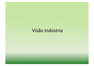 Visão	
  Indústria	
  
 