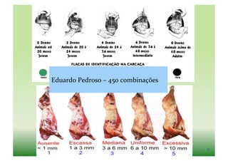 Eduardo	
  Pedroso	
  –	
  450	
  combinações	
  




                                                    37	
  
 