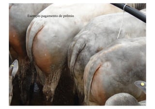 Exemplo	
  pagamento	
  de	
  prêmio	
  
 