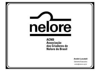 André Locateli
Gerente Executivo
andre@nelore.org.br
 