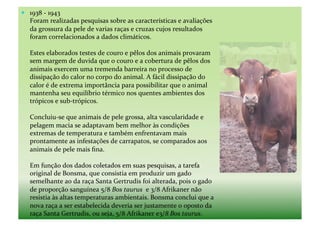   1938	
  -­‐	
  1943	
  
     Foram	
  realizadas	
  pesquisas	
  sobre	
  as	
  características	
  e	
  avaliações	
  
     da	
  grossura	
  da	
  pele	
  de	
  varias	
  raças	
  e	
  cruzas	
  cujos	
  resultados	
  
     foram	
  correlacionados	
  a	
  dados	
  climáticos.	
  

     Estes	
  elaborados	
  testes	
  de	
  couro	
  e	
  pêlos	
  dos	
  animais	
  provaram	
  
     sem	
  margem	
  de	
  duvida	
  que	
  o	
  couro	
  e	
  a	
  cobertura	
  de	
  pêlos	
  dos	
  
     animais	
  exercem	
  uma	
  tremenda	
  barreira	
  no	
  processo	
  de	
  
     dissipação	
  do	
  calor	
  no	
  corpo	
  do	
  animal.	
  A	
  fácil	
  dissipação	
  do	
  
     calor	
  é	
  de	
  extrema	
  importância	
  para	
  possibilitar	
  que	
  o	
  animal	
  
     mantenha	
  seu	
  equilíbrio	
  térmico	
  nos	
  quentes	
  ambientes	
  dos	
  
     trópicos	
  e	
  sub-­‐trópicos.	
  	
  

     Concluiu-­‐se	
  que	
  animais	
  de	
  pele	
  grossa,	
  alta	
  vascularidade	
  e	
  
     pelagem	
  macia	
  se	
  adaptavam	
  bem	
  melhor	
  às	
  condições	
  
     extremas	
  de	
  temperatura	
  e	
  também	
  enfrentavam	
  mais	
  
     prontamente	
  as	
  infestações	
  de	
  carrapatos,	
  se	
  comparados	
  aos	
  
     animais	
  de	
  pele	
  mais	
  ﬁna.	
  	
  

     Em	
  função	
  dos	
  dados	
  coletados	
  em	
  suas	
  pesquisas,	
  a	
  tarefa	
  
     original	
  de	
  Bonsma,	
  que	
  consistia	
  em	
  produzir	
  um	
  gado	
  
     semelhante	
  ao	
  da	
  raça	
  Santa	
  Gertrudis	
  foi	
  alterada,	
  pois	
  o	
  gado	
  
     de	
  proporção	
  sanguínea	
  5/8	
  Bos	
  taurus	
  	
  e	
  3/8	
  Afrikaner	
  não	
  
     resistia	
  às	
  altas	
  temperaturas	
  ambientais.	
  Bonsma	
  conclui	
  que	
  a	
  
     nova	
  raça	
  a	
  ser	
  estabelecida	
  deveria	
  ser	
  justamente	
  o	
  oposto	
  da	
  
     raça	
  Santa	
  Gertrudis,	
  ou	
  seja,	
  5/8	
  Afrikaner	
  e3/8	
  Bos	
  taurus.	
  
 