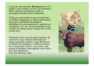   A	
  raça	
  foi	
  denominada	
  Bonsmara	
  por	
  E.A	
  
   Galpin	
  como	
  tributo	
  ao	
  Prof.	
  Jan	
  Bonsma	
  e	
  
   Mara,	
  estação	
  de	
  pesquisa	
  onde	
  os	
  
   principais	
  estudos	
  foram	
  realizados.	
  	
  
   Todas	
  as	
  características	
  que	
  acarretaram	
  
   na	
  melhor	
  adaptação	
  ao	
  clima	
  subtropical	
  
   tais	
  como	
  suavidade	
  da	
  pelugem,	
  
   habilidade	
  de	
  movimentação,	
  repelência	
  a	
  
   carrapatos,	
  cor,	
  etc.	
  foram	
  adotadas	
  como	
  
   critério	
  de	
  seleção	
  para	
  a	
  ﬁxação	
  da	
  recém-­‐
   criada	
  raça.	
  

   Nenhuma	
  outra	
  raça	
  de	
  gado	
  sintético	
  de	
  
   corte	
  teve	
  a	
  sua	
  criação	
  orientada	
  por	
  
   tantas	
  pesquisas	
  quanto	
  a	
  raça	
  Bonsmara.	
  
   O	
  objetivo	
  da	
  pesquisa	
  e	
  reﬂexão	
  sempre	
  
   foi	
  o	
  animal	
  por	
  inteiro,	
  com	
  todo	
  o	
  seu	
  
   potencial	
  genético	
  interagindo	
  com	
  todo	
  o	
  
   seu	
  meio	
  ambiente.”	
  	
  
   Prof.	
  Jan	
  Bonsma,	
  1985	
  
 