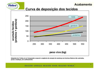 Acabamento
                       Curva de deposição dos tecidos

                                                                                               total!



                                                                                              gordura!



                                                                                                 proteína!




Adaptado de: Freitas et al, Composição corporal e exigência de energia de mantença em bovinos Nelores não castrados,
puros e mestiços, em confinamento


                                                                                                                       2"
 