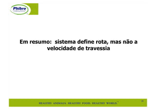 Em resumo: sistema define rota, mas não a
        velocidade de travessia




                                            21"
 