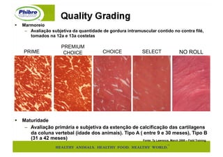   Marmoreio
    –  Avaliação subjetiva da quantidade de gordura intramuscular contido no contra filé,
       tomados na 12a e 13a costelas

                        PREMIUM
    PRIME                CHOICE                CHOICE               SELECT              NO ROLL




  Maturidade
    –  Avaliação primária e subjetiva da extenção de calcificação das cartilagens
       da coluna vertebal (idade dos animais). Tipo A ( entre 9 e 30 meses), Tipo B
       (31 a 42 meses)                                  Fonte: Ty Lawrence, March 2008 – Field Training
 