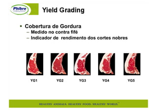   Cobertura de Gordura
  –  Medido no contra fifé
  –  Indicador de rendimento dos cortes nobres




    YG1        YG2      YG3       YG4            YG5
 
