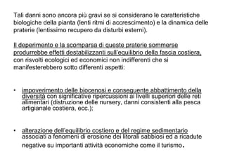 Tali danni sono ancora più gravi se si considerano le caratteristiche
biologiche della pianta (lenti ritmi di accrescimento) e la dinamica delle
praterie (lentissimo recupero da disturbi esterni).

Il deperimento e la scomparsa di queste praterie sommerse
produrrebbe effetti destabilizzanti sull‟equilibrio della fascia costiera,
con risvolti ecologici ed economici non indifferenti che si
manifesterebbero sotto differenti aspetti:


• impoverimento delle biocenosi e conseguente abbattimento della
  diversità con significative ripercussioni ai livelli superiori delle reti
  alimentari (distruzione delle nursery, danni consistenti alla pesca
  artigianale costiera, ecc.);


• alterazione dell‟equilibrio costiero e del regime sedimentario
  associati a fenomeni di erosione dei litorali sabbiosi ed a ricadute
  negative su importanti attività economiche come il turismo       .
 