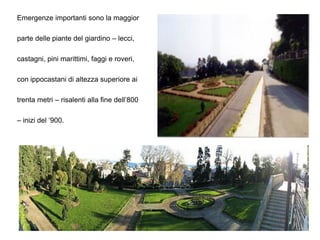 Emergenze importanti sono la maggior

parte delle piante del giardino – lecci,

castagni, pini marittimi, faggi e roveri,

con ippocastani di altezza superiore ai

trenta metri – risalenti alla fine dell‟800

– inizi del „900.
 