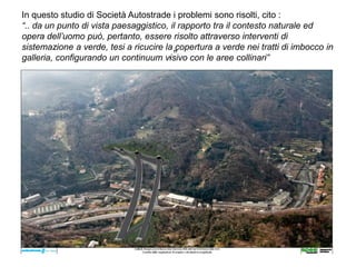 In questo studio di Società Autostrade i problemi sono risolti, cito :
“.. da un punto di vista paesaggistico, il rapporto tra il contesto naturale ed
opera dell’uomo può, pertanto, essere risolto attraverso interventi di
sistemazione a verde, tesi a ricucire la copertura a verde nei tratti di imbocco in
                                       .”
galleria, configurando un continuum visivo con le aree collinari”
 