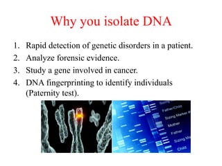 Identify Isolate 12021947.ppt