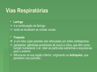 Vias Respiratórias
 Laringe
 é a continuação da faringe.
 onde se localizam as cordas vocais.
 Traqueia
 é um tubo cujas paredes são reforçadas por anéis cartilagíneos.
 apresenta glândulas produtoras de muco e cílios, que têm como
função humedecer o ar, reter as partículas estranhas e expulsá-las
para o exterior.
 Bifurca-se na sua região inferior, originando os brônquios, que
penetram nos pulmões.

 