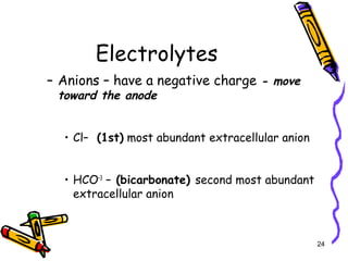Electrolytes
– Anions – have a negative charge - move
toward the anode
• Cl– (1st) most abundant extracellular anion
• HCO–3
– (bicarbonate) second most abundant
extracellular anion
24
 