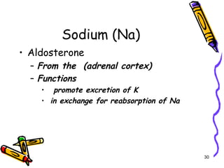 Sodium (Na)
• Aldosterone
– From the (adrenal cortex)
– Functions
• promote excretion of K
• in exchange for reabsorption of Na
30
 