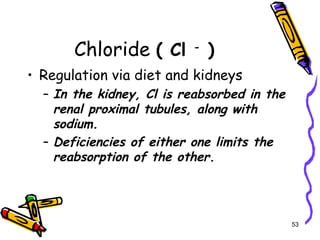 Chloride ( Cl -
)
• Regulation via diet and kidneys
– In the kidney, Cl is reabsorbed in the
renal proximal tubules, along with
sodium.
– Deficiencies of either one limits the
reabsorption of the other.
53
 